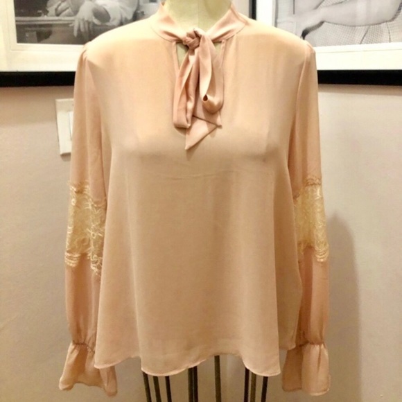 Blush sheer top office long sleeve boho neck tie - Picture 3 of 7